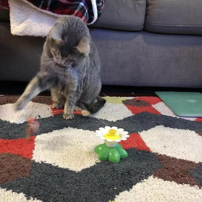 Engaging Cat Toy with Interactive Bird Design
