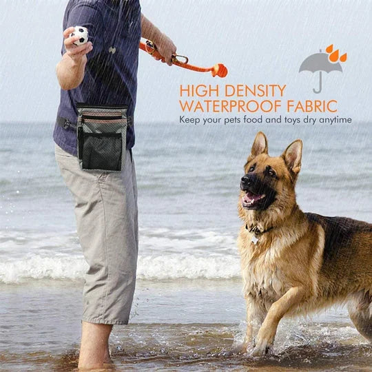 Canine Training Reward Carrier for Effortless Learning