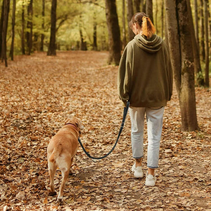 Premium Elastic Dog Leash for Large Breeds