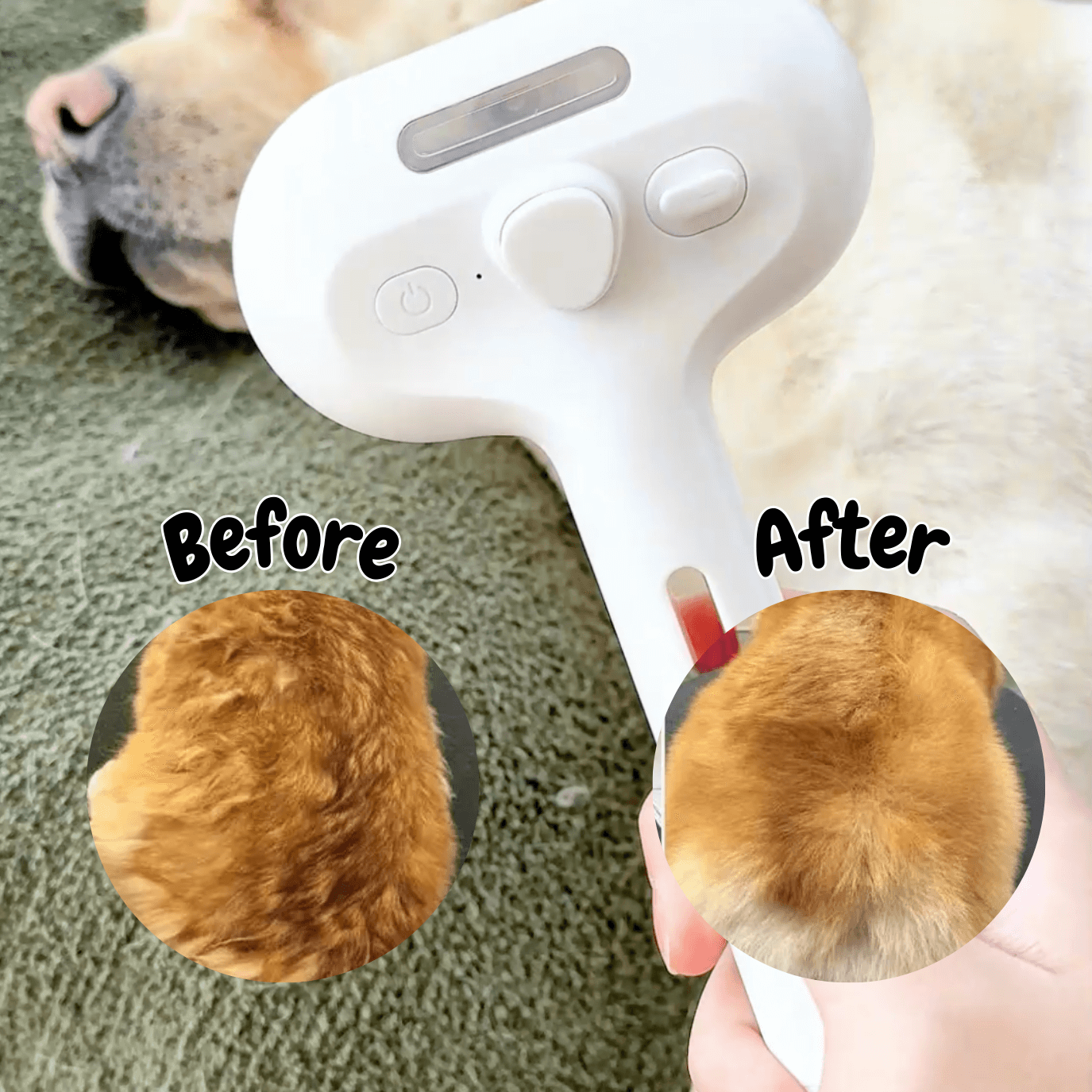 Steam Brush for Dogs – Gentle Grooming Tool for All Coat Types