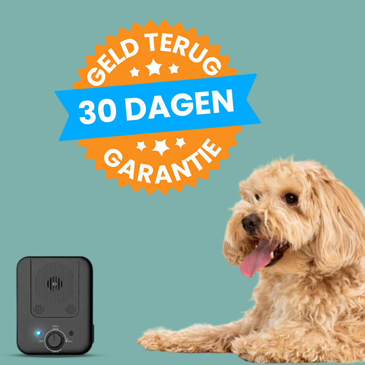 Pain-Free Bark Control Device for Dogs | Effective Bark Prevention System for a Peaceful Environment