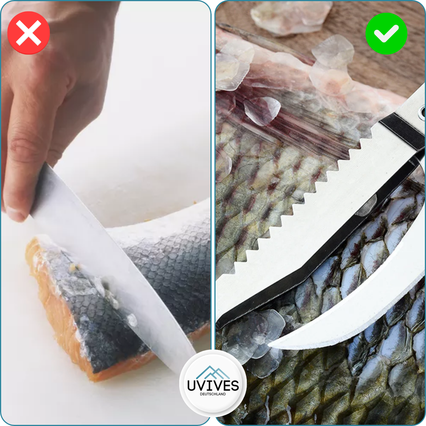 Buy One Get One Free | Quick and Easy Fish Cleaning Tool