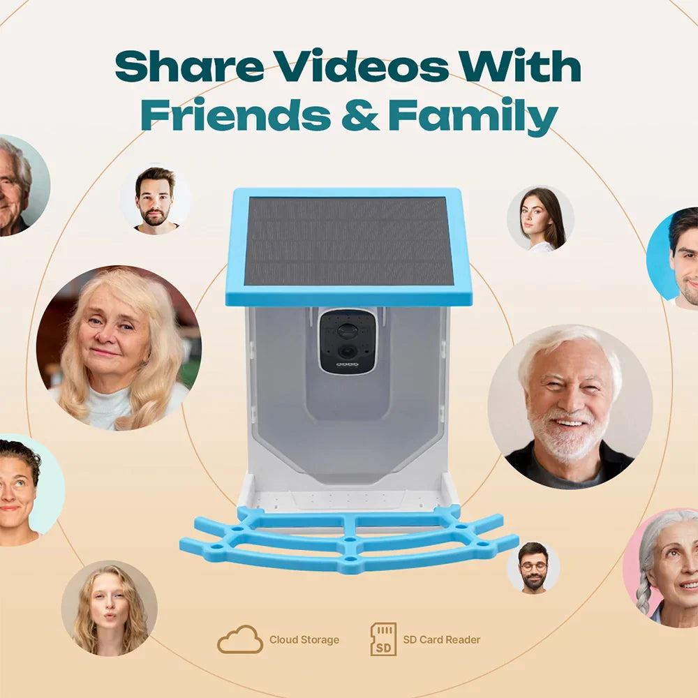 Smart Bird Feeder – Experience Nature Like Never Before