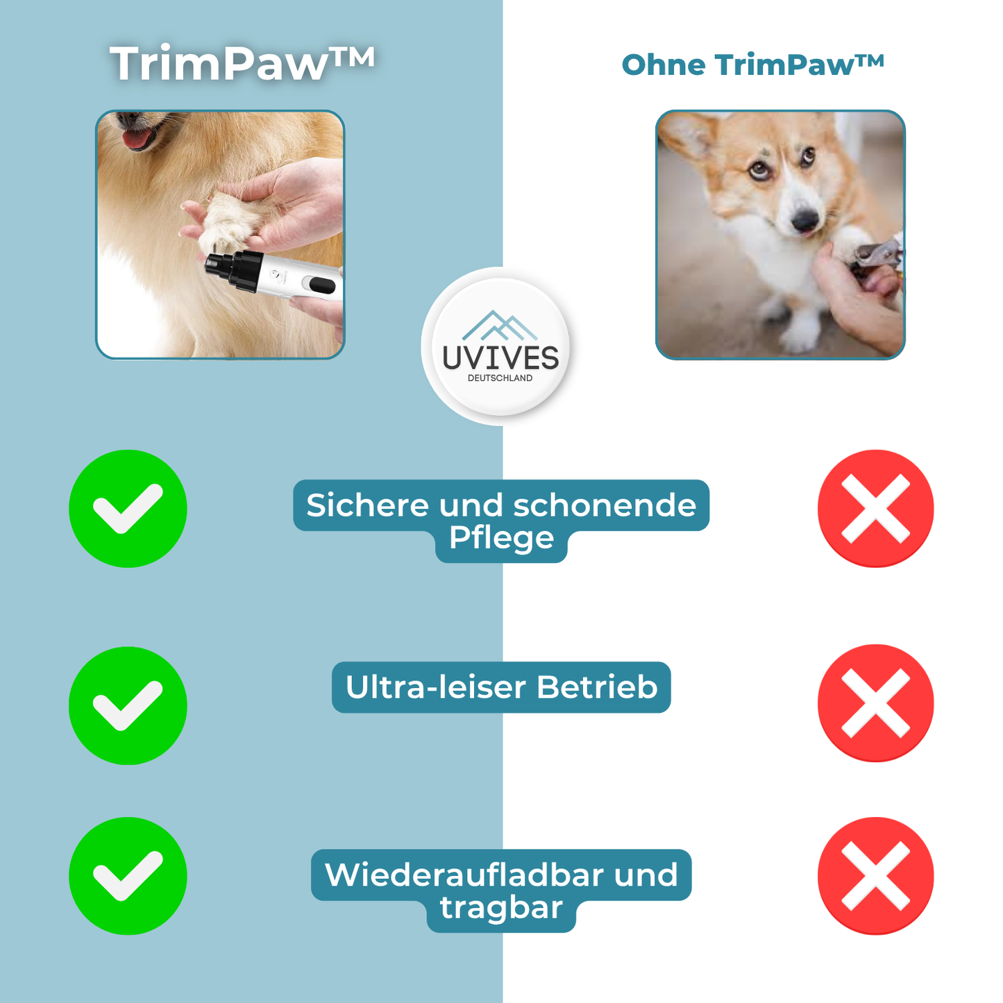 Gentle and Safe Nail Care for Your Dog