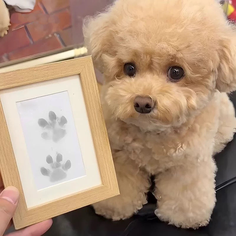 Cherished Pet Paw Print Keepsake Kit