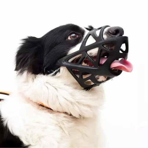 Calm Dogs Instantly, Prevents Safe Biting and Barking
