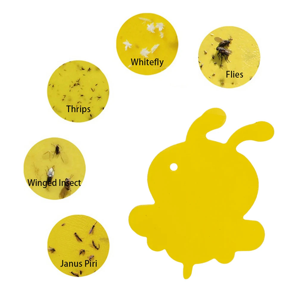 59-Piece Yellow Fly Trap Kit | Double-Sided Adhesive Sheets for Fruit Flies & Insects | Safe for Plants and Non-Toxic