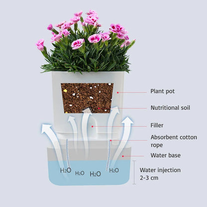 Grow Plants Easily Without Daily Watering Issues