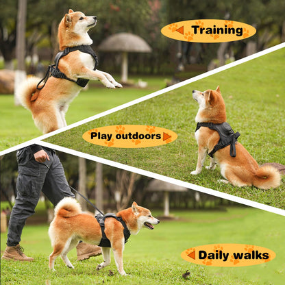 Dog Harness with Retractable Leash Set – All-in-One Solution