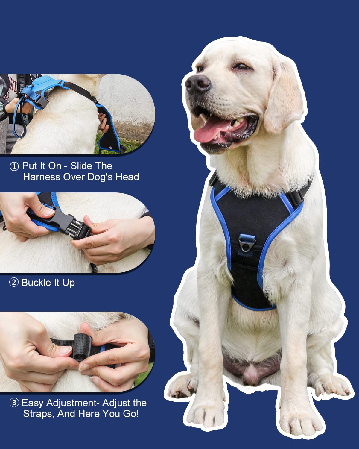 Dog Harness with Retractable Leash Set – All-in-One Solution