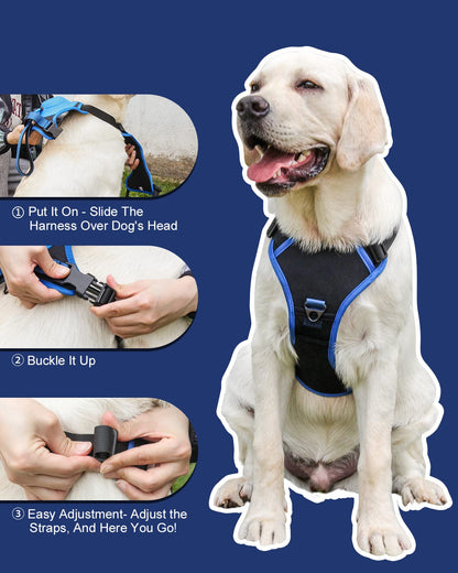 Dog Harness with Retractable Leash Set – All-in-One Solution