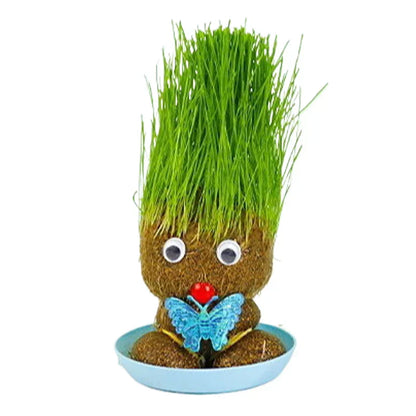 Lively Indoor Grass Buddy for a Fresh Home Atmosphere