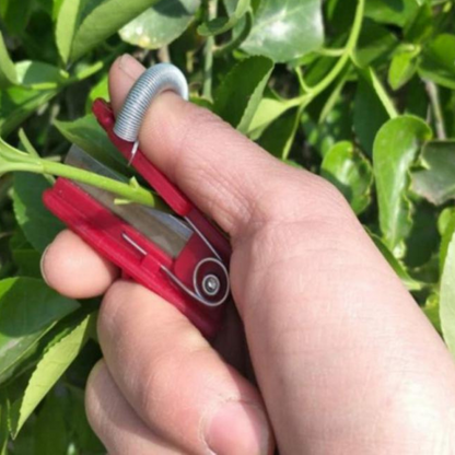 Fruit Picker for Quick Harvesting Without Bruising or Damage