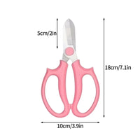 Pink-1