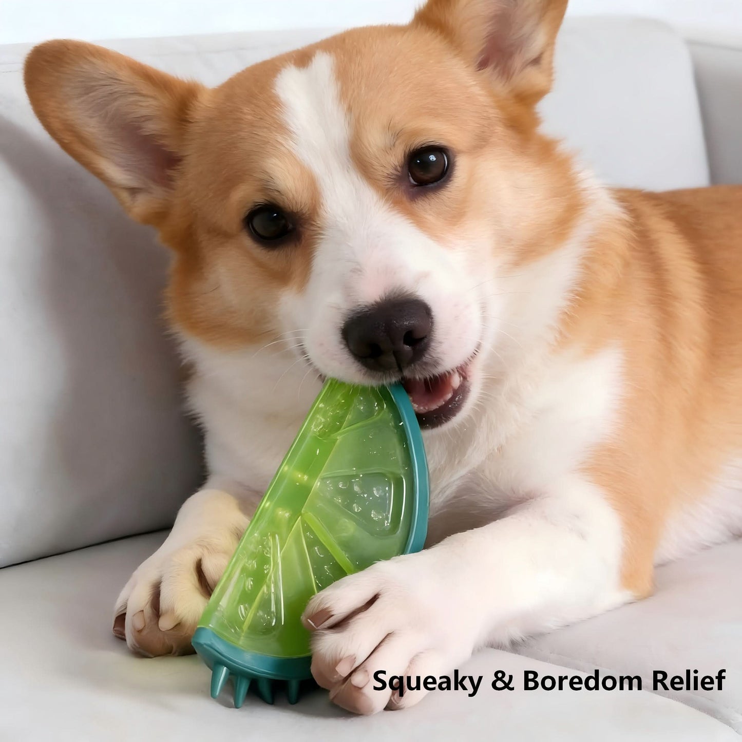 Interactive Frozen Puzzle Toys for Dogs