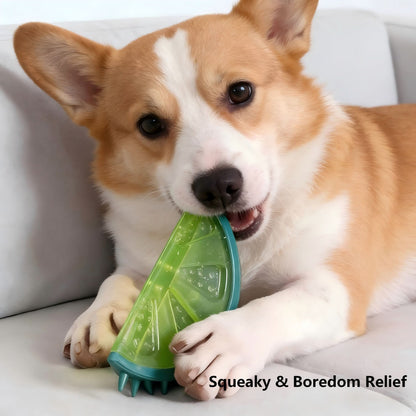 Interactive Frozen Puzzle Toys for Dogs