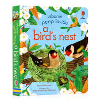 Bird's Nest