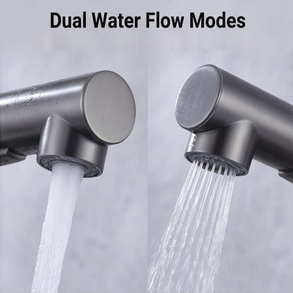 Modern Stainless Steel Pull-Out Kitchen Faucet