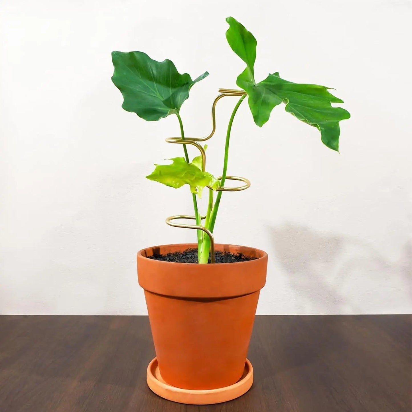Monstera Climbing Support with Metal Leaf Design | 32 cm