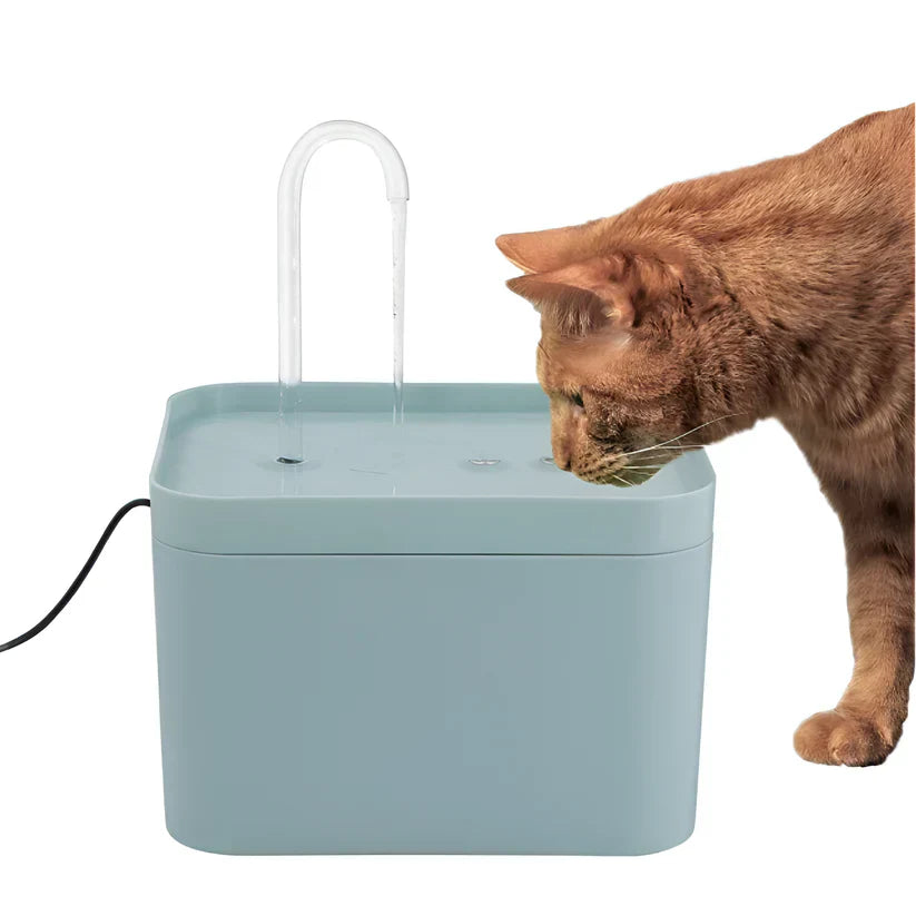 Hydration Solution for Cats – Keeps Your Feline Healthy Daily