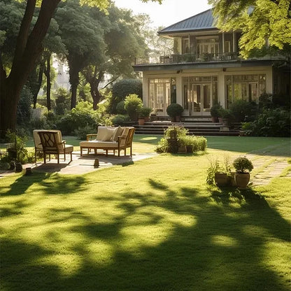 Lush Green Lawn Seed – Rapid Growth & All-Season Resilience