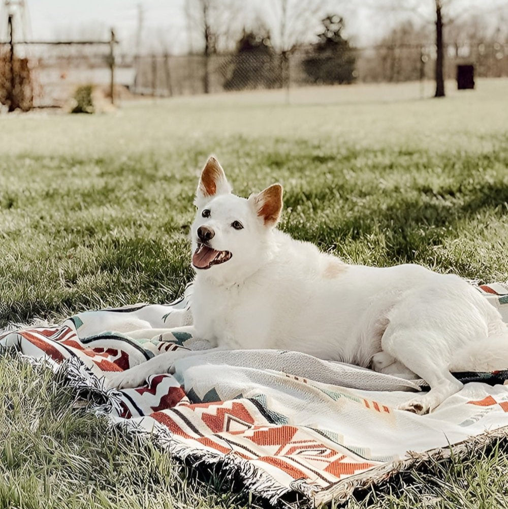 Vibrant Wanderlust Picnic Blanket