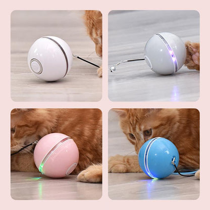 Endless Fun Toy for Keeping Your Cat Active and Happy