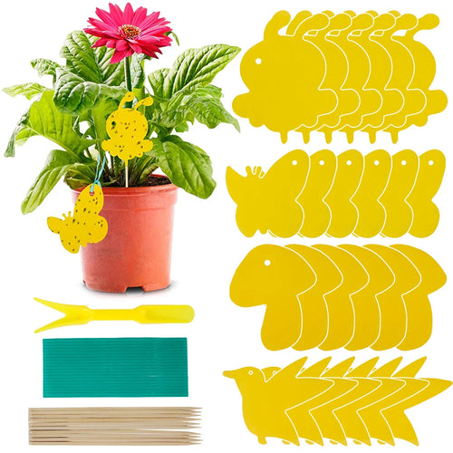 Chemical-Free Protection Against Flying Plant Pests