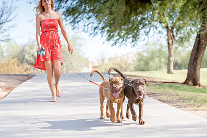 Flexible Dual Leash for Dogs