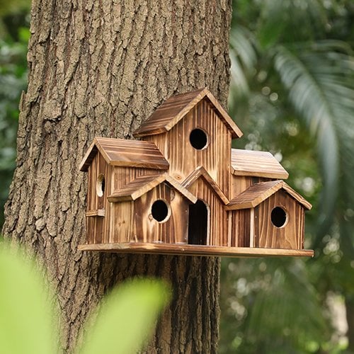Cozy Weatherproof Home for Small Birds with Safe Reception