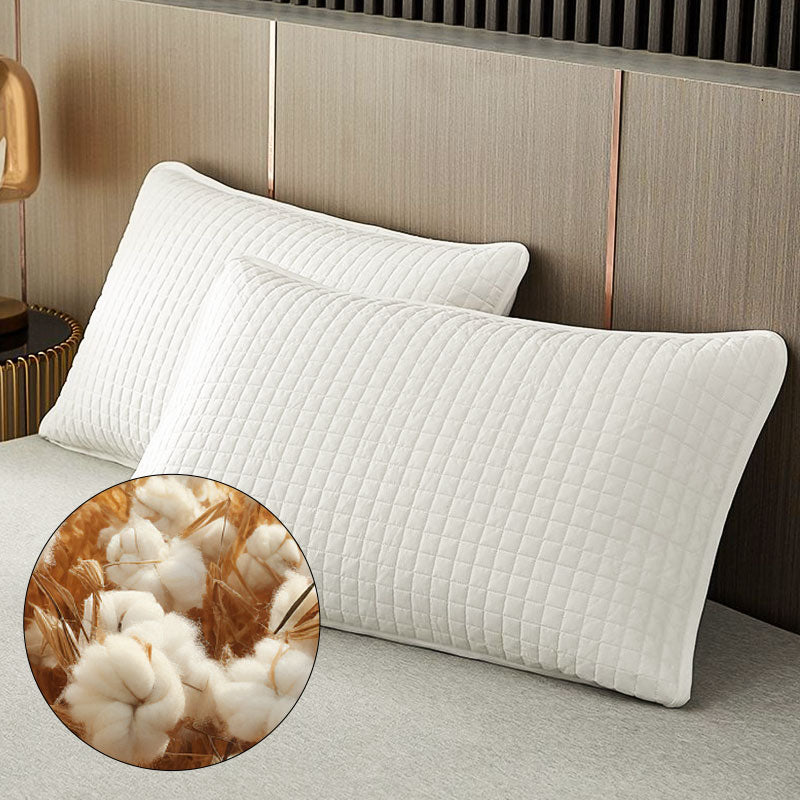 Buy One, Get One Free | PilloGuard – Keeps Pillows Fresh, Clean and Protected All Night