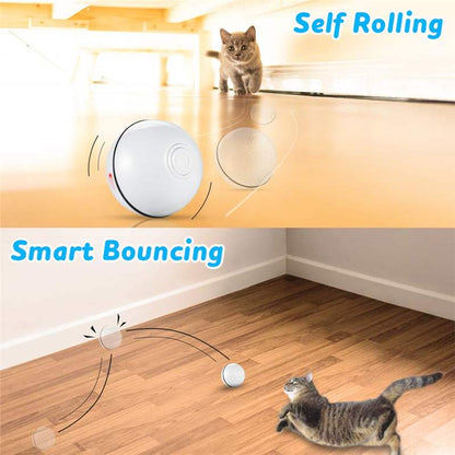 Interactive Smart Ball for Pets