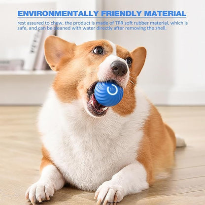 Interactive Dog Play Ball for Engaging Fetch Games