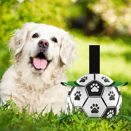 FloatFetch Dog Activity Toy – Keeps Pets Active and Safe on Land and Water