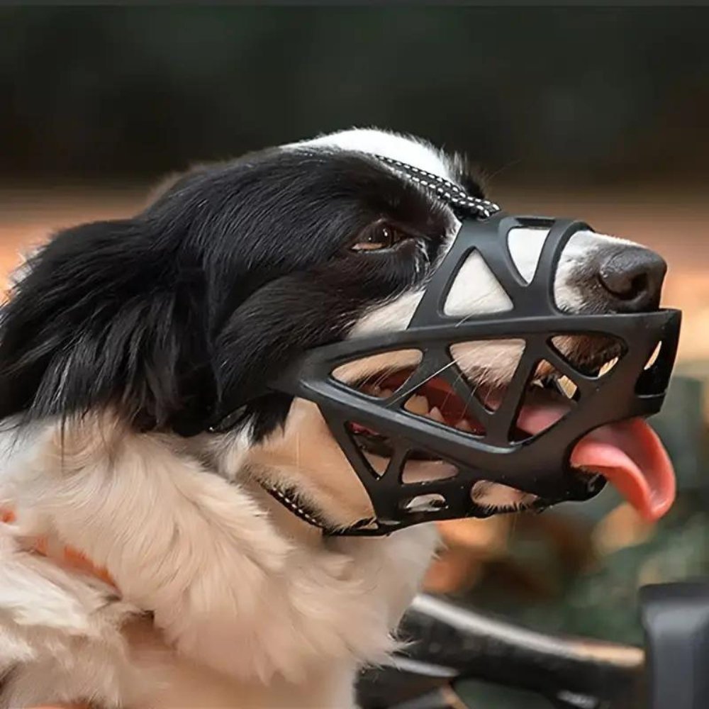 Calm Dogs Instantly, Prevents Safe Biting and Barking