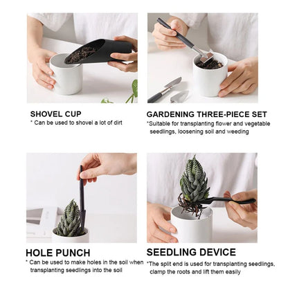 Indoor Gardening Kit – Grow Fresh Greens in Small Spaces
