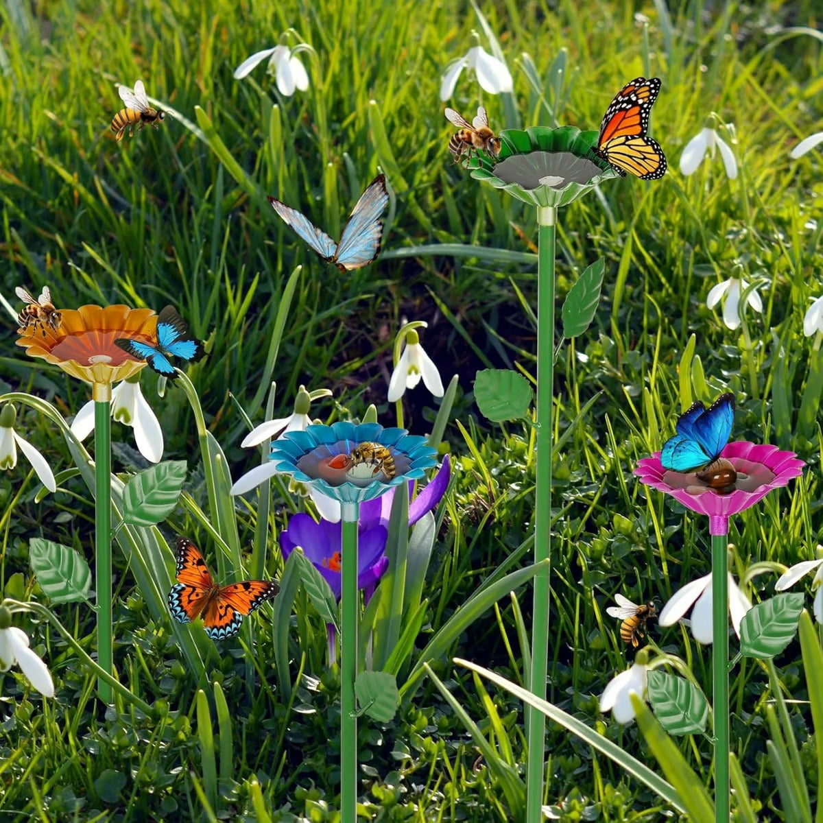 Pollinator Haven - Attracts Bees & Butterflies with Refreshing Oasis