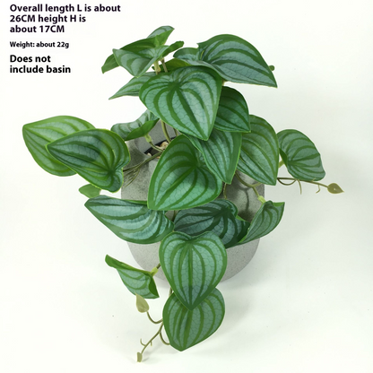 Instant Realistic Greenery with No Maintenance Required