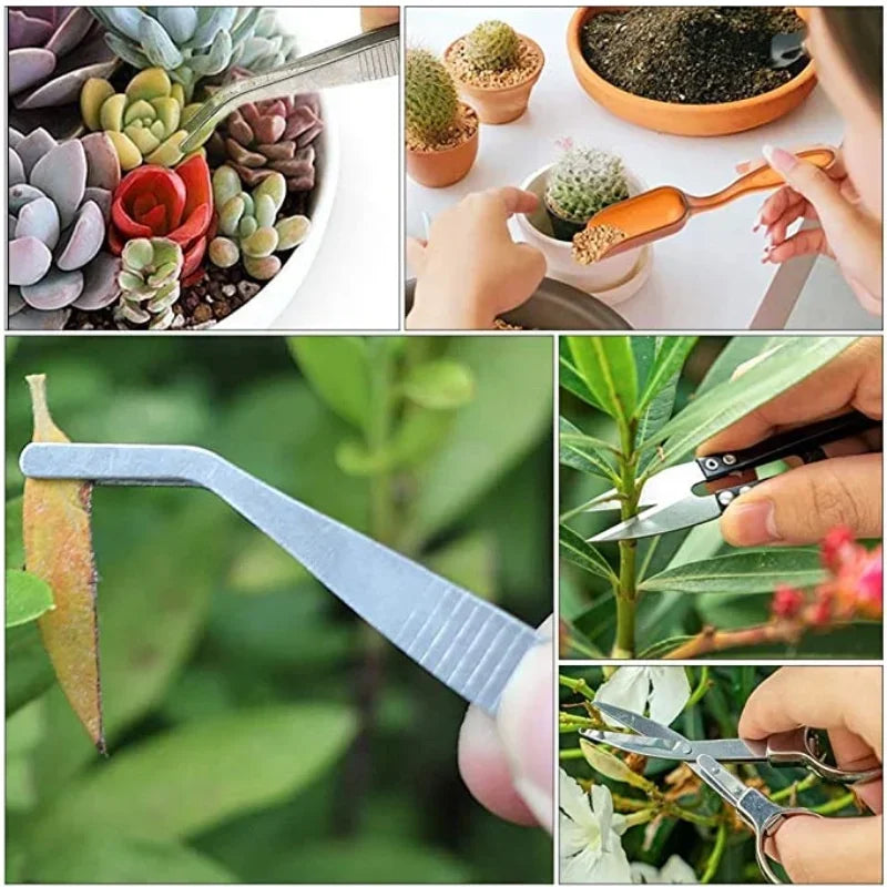 13-Piece Garden Tool Set | Stainless Steel and ABS | Designed for Succulents & Bonsai