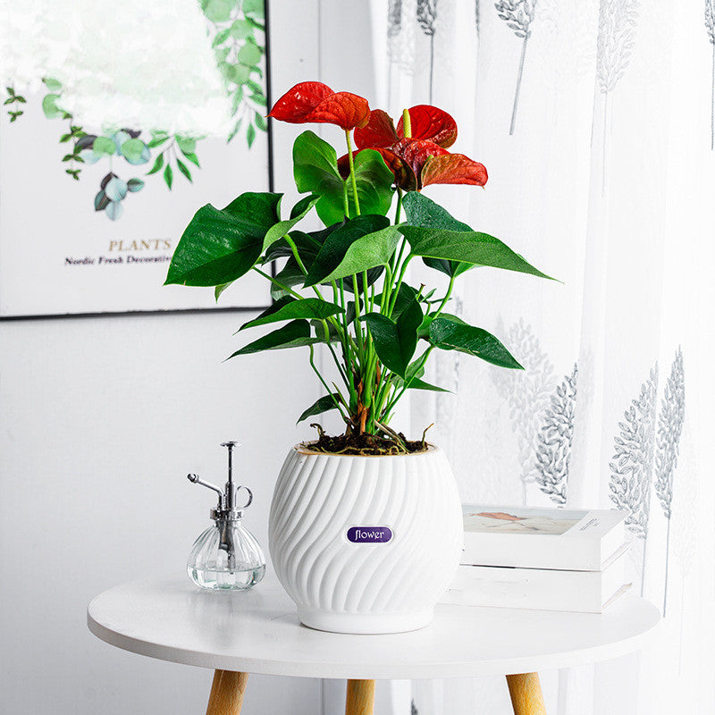 Effortless Moisture Control for Your Plants – GreenPlanter