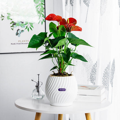 Effortless Moisture Control for Your Plants – GreenPlanter