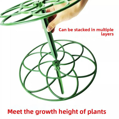 Bonsai Climbing Support | Stackable Plant Holder | Plastic 20–25 cm