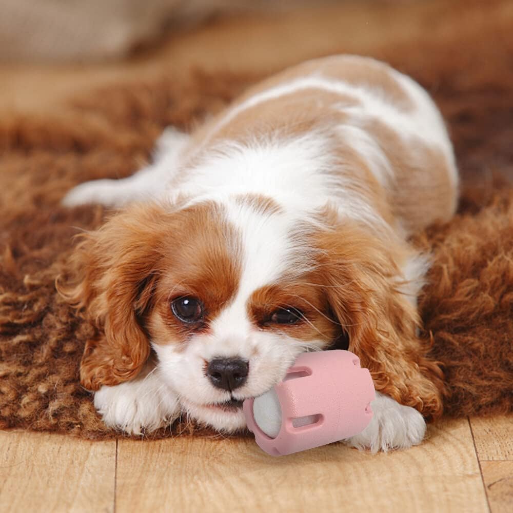 Enhance Your Dog's Energy, Dental Health, and Happiness