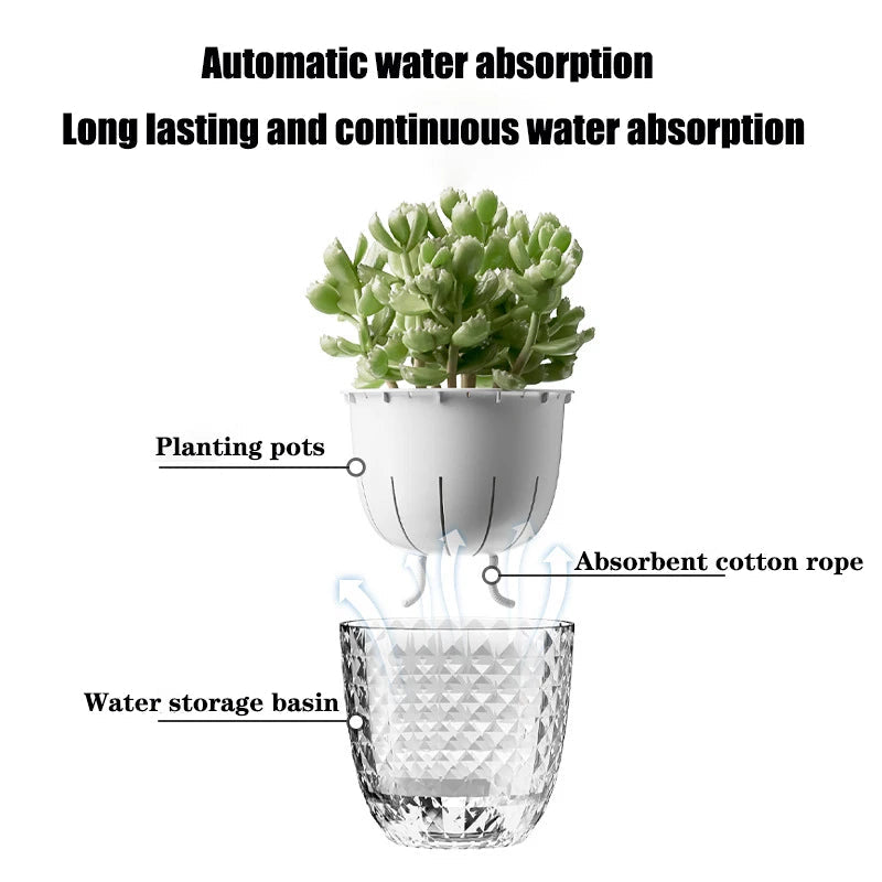 Transparent Flower Pot with Self-Watering and Double Wall System