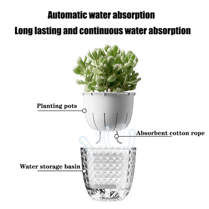 Transparent Flower Pot with Self-Watering and Double Wall System