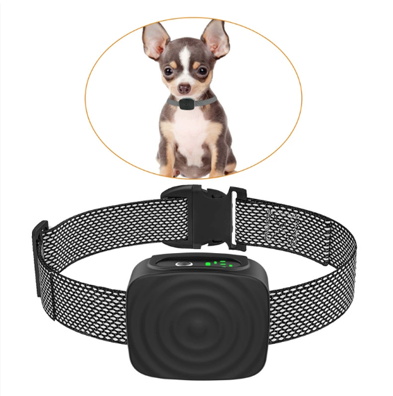 Anti-Bark Collar for Small Dogs