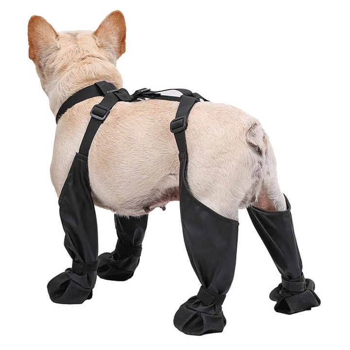 Dog Shoes with Adjustable Fit for Protection