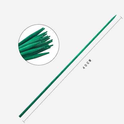 Bamboo Plant Stakes Set of 10 - 40 cm Green Garden Support