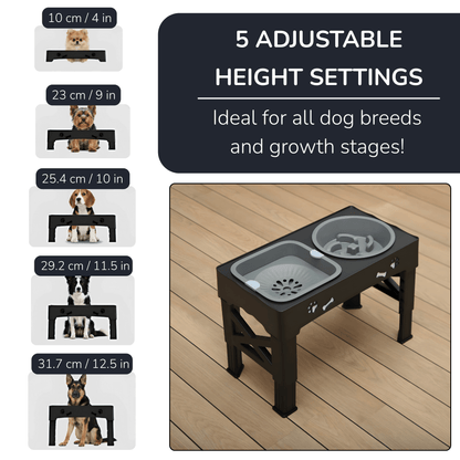 All-in-One Pet Bowl Stand for Healthier Meals