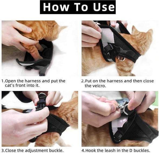 Adjustable, Breathable, Light-Up Cat Harness